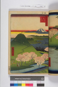 東洋文庫 所蔵 岩崎文庫 名所江戸百景 目黒新富士