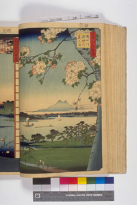 東洋文庫 所蔵 岩崎文庫 名所江戸百景 隅田川水神の森真崎