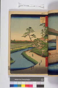 東洋文庫 所蔵 岩崎文庫 名所江戸百景 せき口上水端はせを庵椿やま