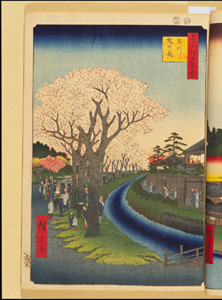 東洋文庫 所蔵 岩崎文庫 名所江戸百景 玉川堤の花