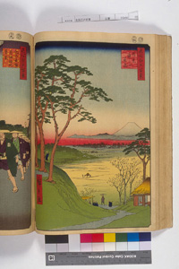 東洋文庫 所蔵 岩崎文庫 名所江戸百景 目黒爺々が茶屋