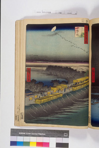 東洋文庫 所蔵 岩崎文庫 名所江戸百景 よし原日本堤