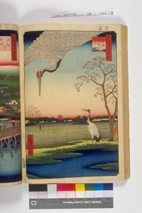 東洋文庫 所蔵 岩崎文庫 名所江戸百景 箕輪金杉三河しま