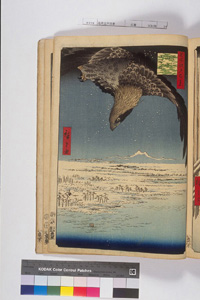 東洋文庫 所蔵 岩崎文庫 名所江戸百景 深川洲崎十萬坪