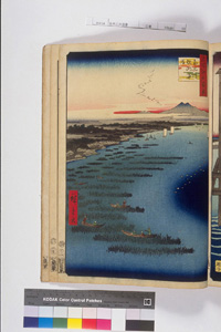 東洋文庫 所蔵 岩崎文庫 名所江戸百景 南品川鮫洲海岸