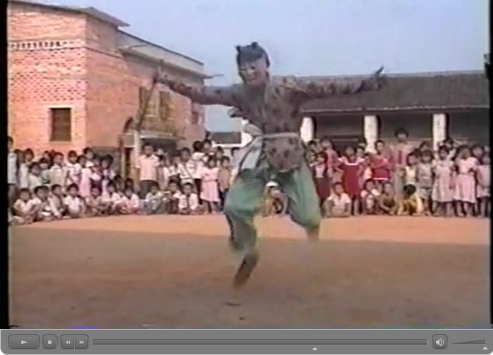 南豊県水南村儺舞・儺戯　動画　 田仲一成 東洋文庫