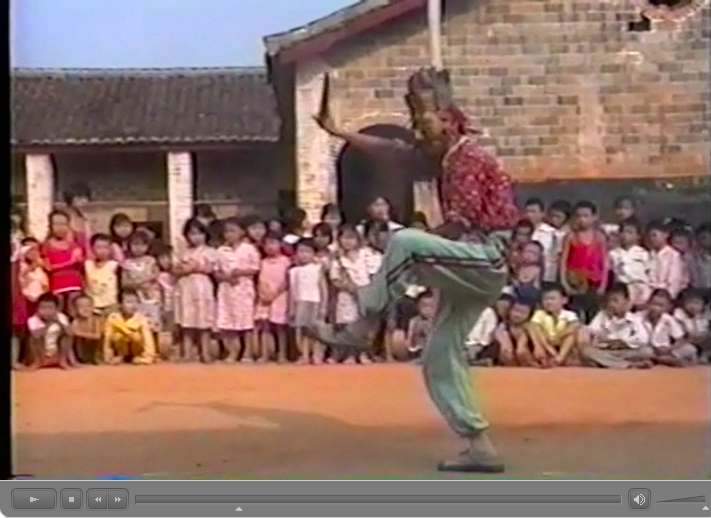 南豊県水南村儺舞・儺戯　動画　 田仲一成 東洋文庫