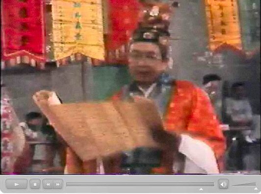 香港新界龍躍頭村太平清醮儀礼：広東正一派道士団 田仲一成 東洋文庫