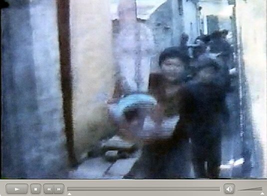 香港新界龍躍頭村太平清醮儀礼：広東正一派道士団 田仲一成 東洋文庫