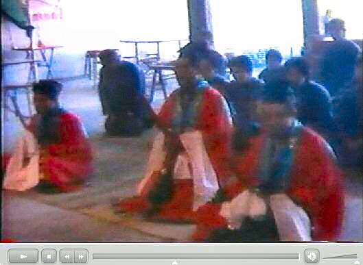 香港新界龍躍頭村太平清醮儀礼：広東正一派道士団 田仲一成 東洋文庫