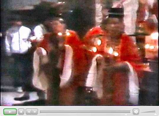 香港新界龍躍頭村太平清醮儀礼：広東正一派道士団 田仲一成 東洋文庫