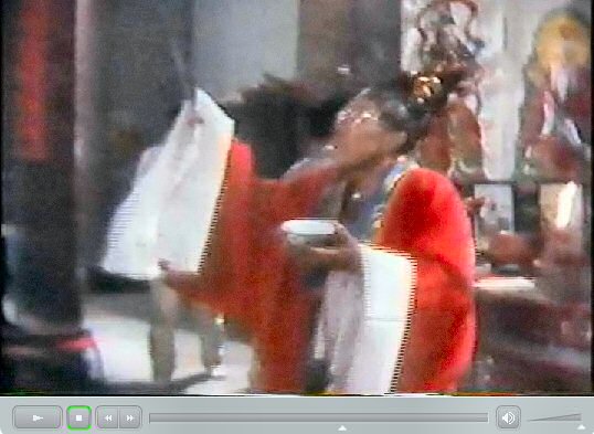 香港新界龍躍頭村太平清醮儀礼：広東正一派道士団 田仲一成 東洋文庫