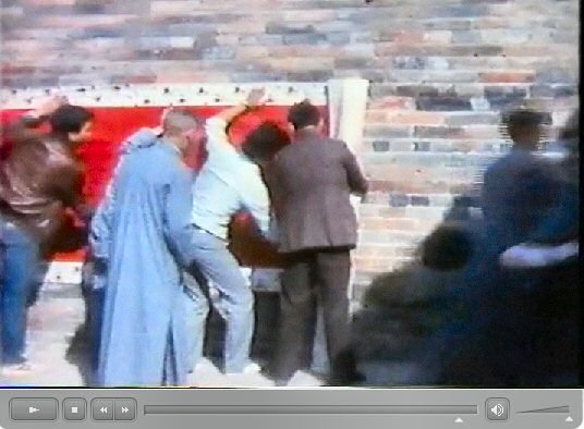 香港新界龍躍頭村太平清醮儀礼：広東正一派道士団 田仲一成 東洋文庫