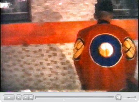 粉嶺洪朝 田仲一成 東洋文庫