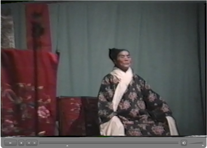 祁門県栗木村目連戯　動画　 田仲一成 東洋文庫